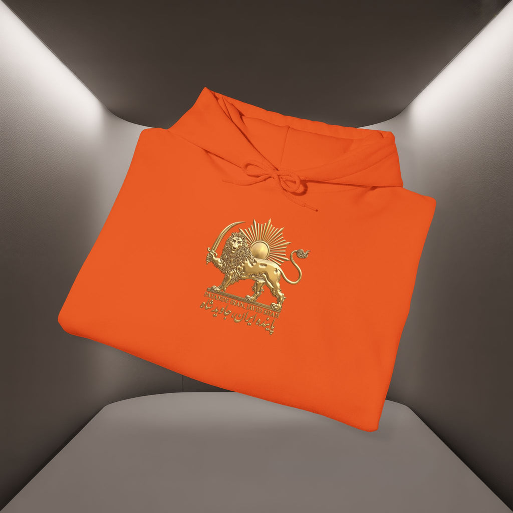 Persian Flag Conceptual Graphic, Unisex Hoodie