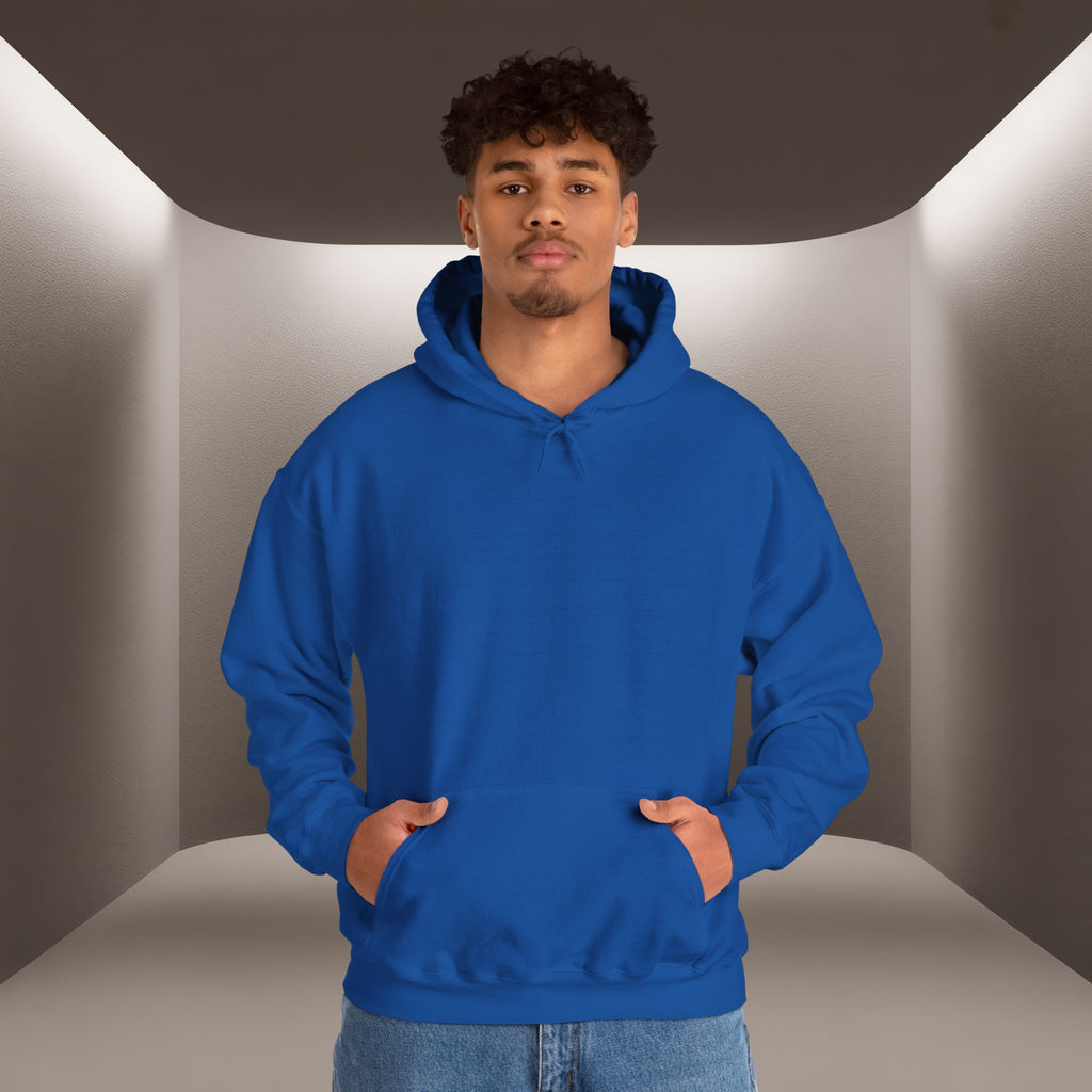 Freedom for Iran Unisex Hoodie — All Eyes On Iran Hoodie