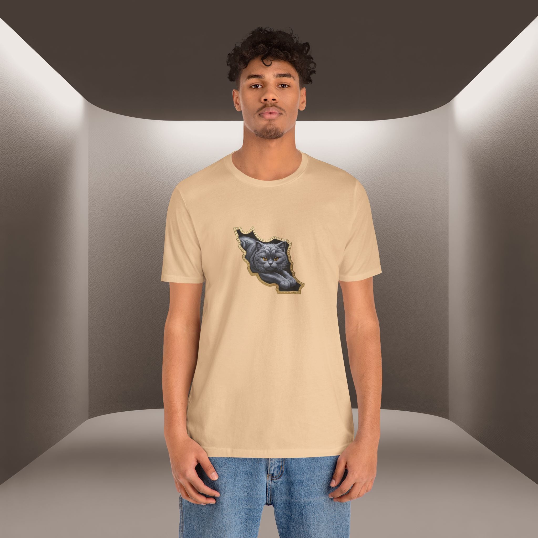 Persian Cat in a Persian Map Graphic design- unisex T-shirt- Premium quality