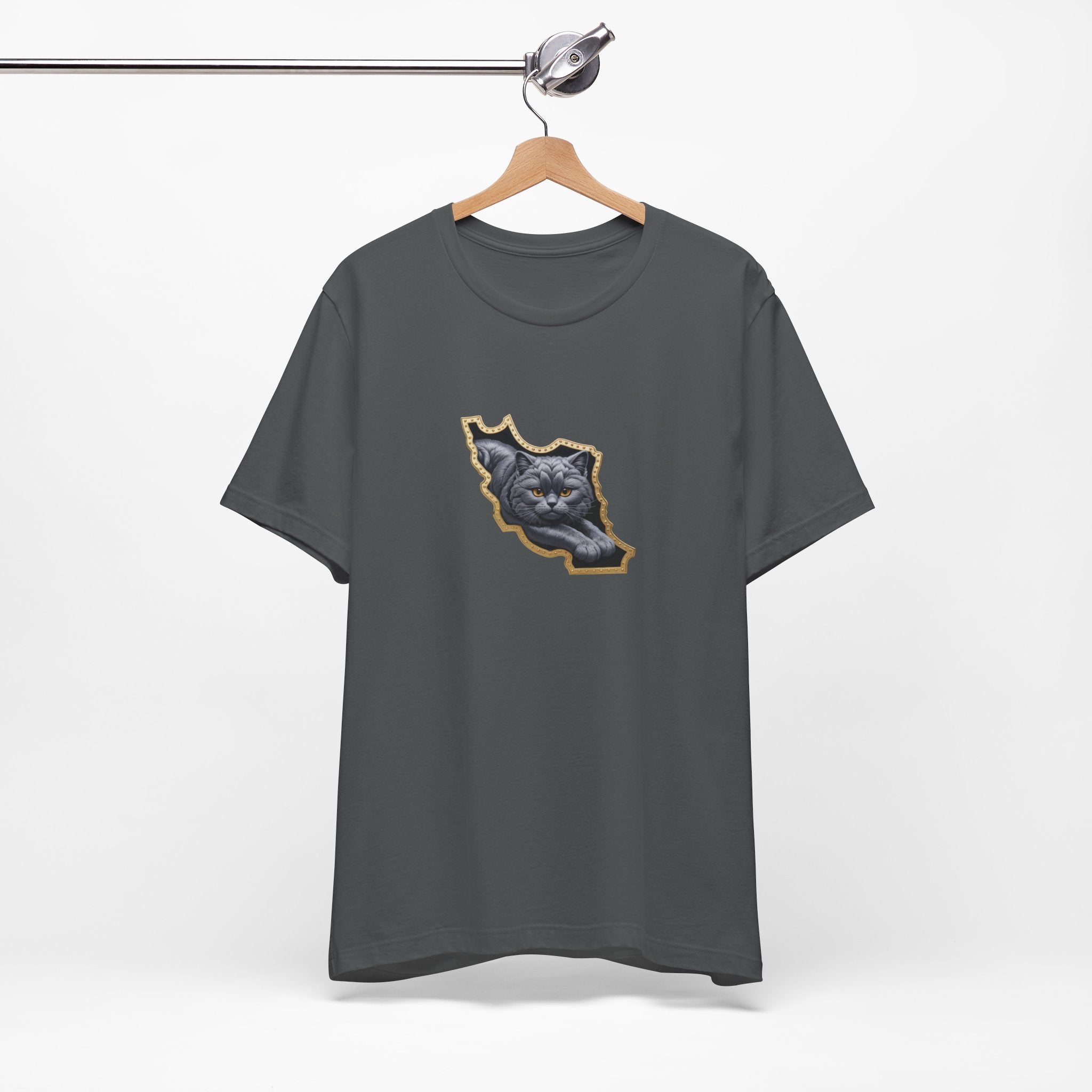 Persian Cat in a Persian Map Graphic design- unisex T-shirt- Premium quality