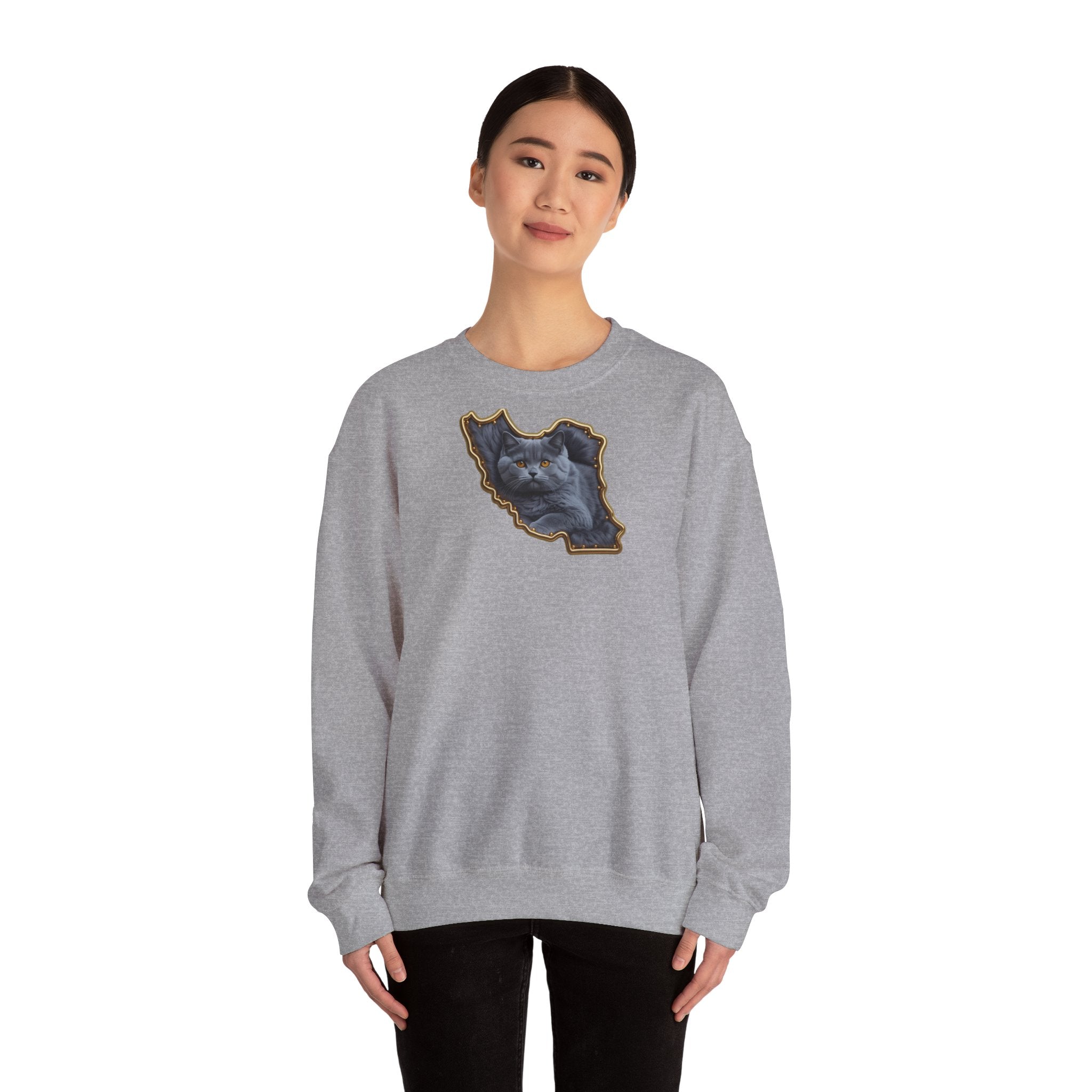 Persian cat & Persian Map Graphic Design Unisex Sweatshirt — Premium quality