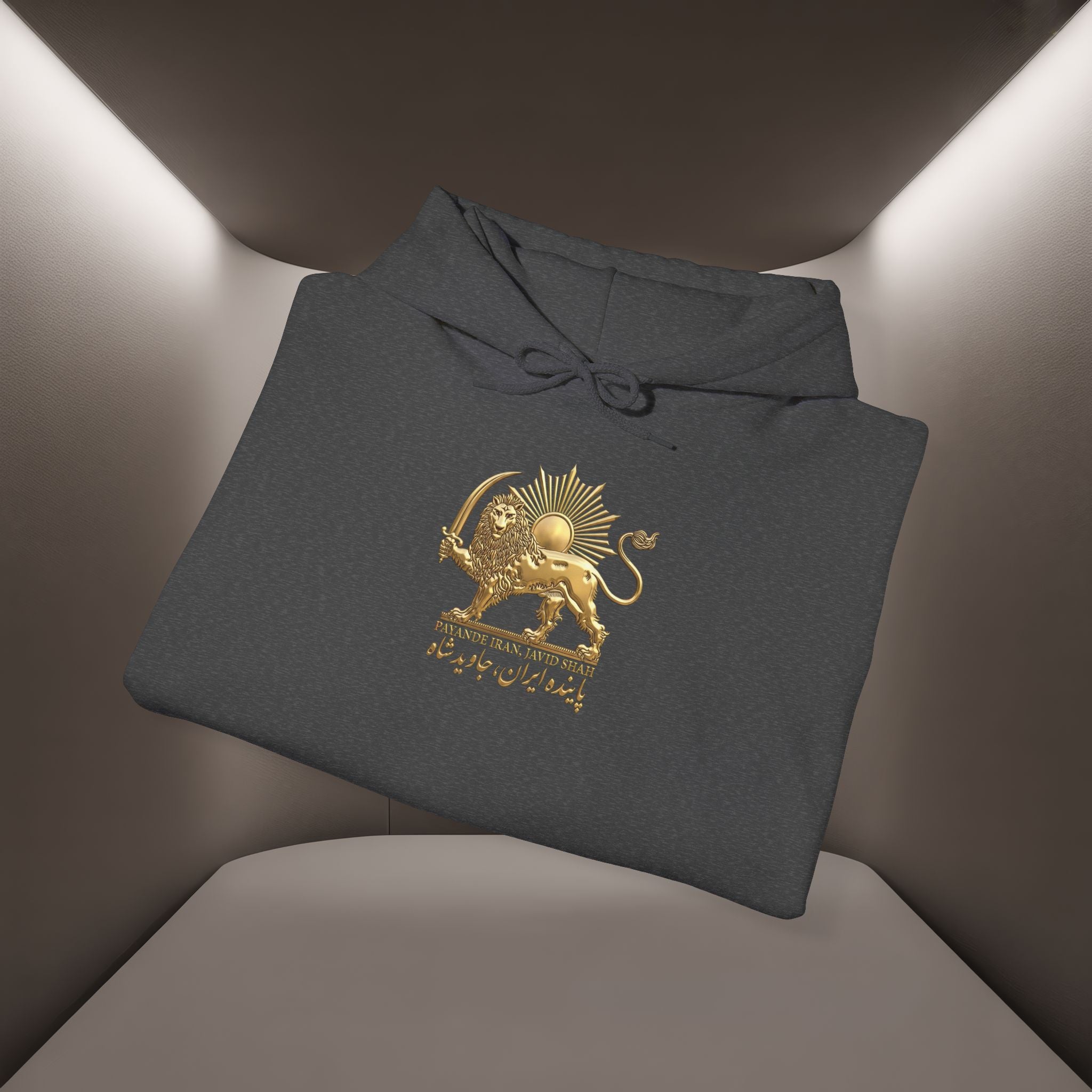 Persian Flag Conceptual Graphic, Unisex Hoodie