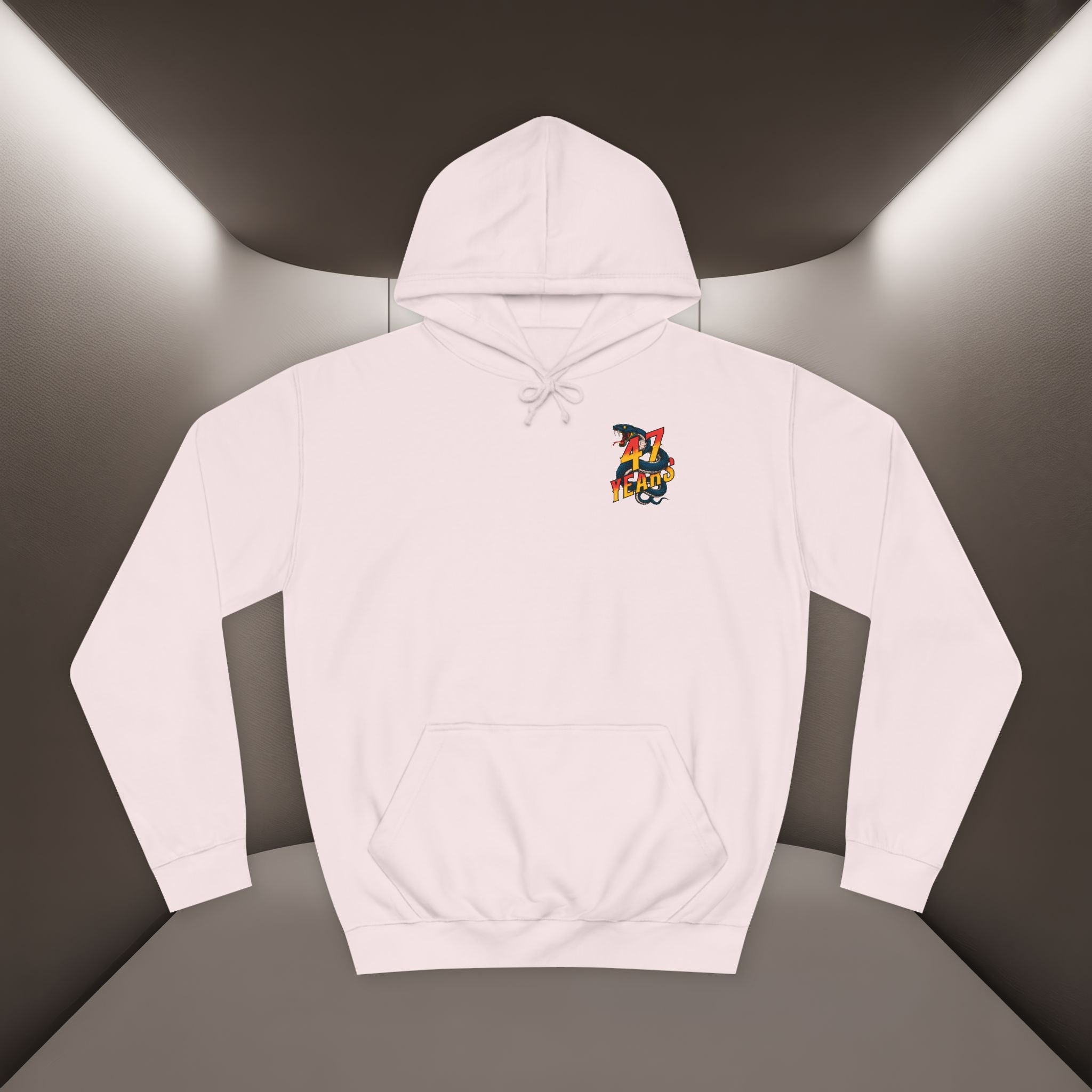 Persian Vibey Unisex Hoodie — 47 years design Hoodie