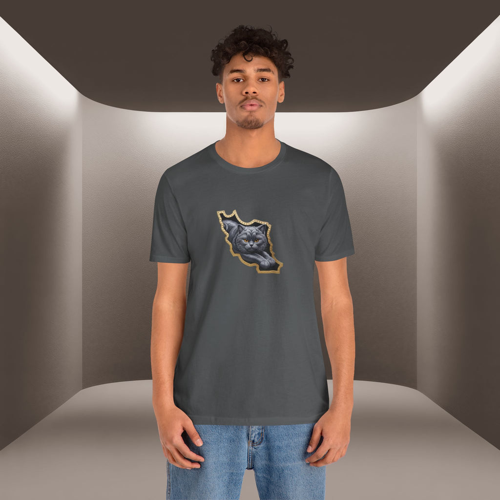 Persian Cat in a Persian Map Graphic design- unisex T-shirt- Premium quality