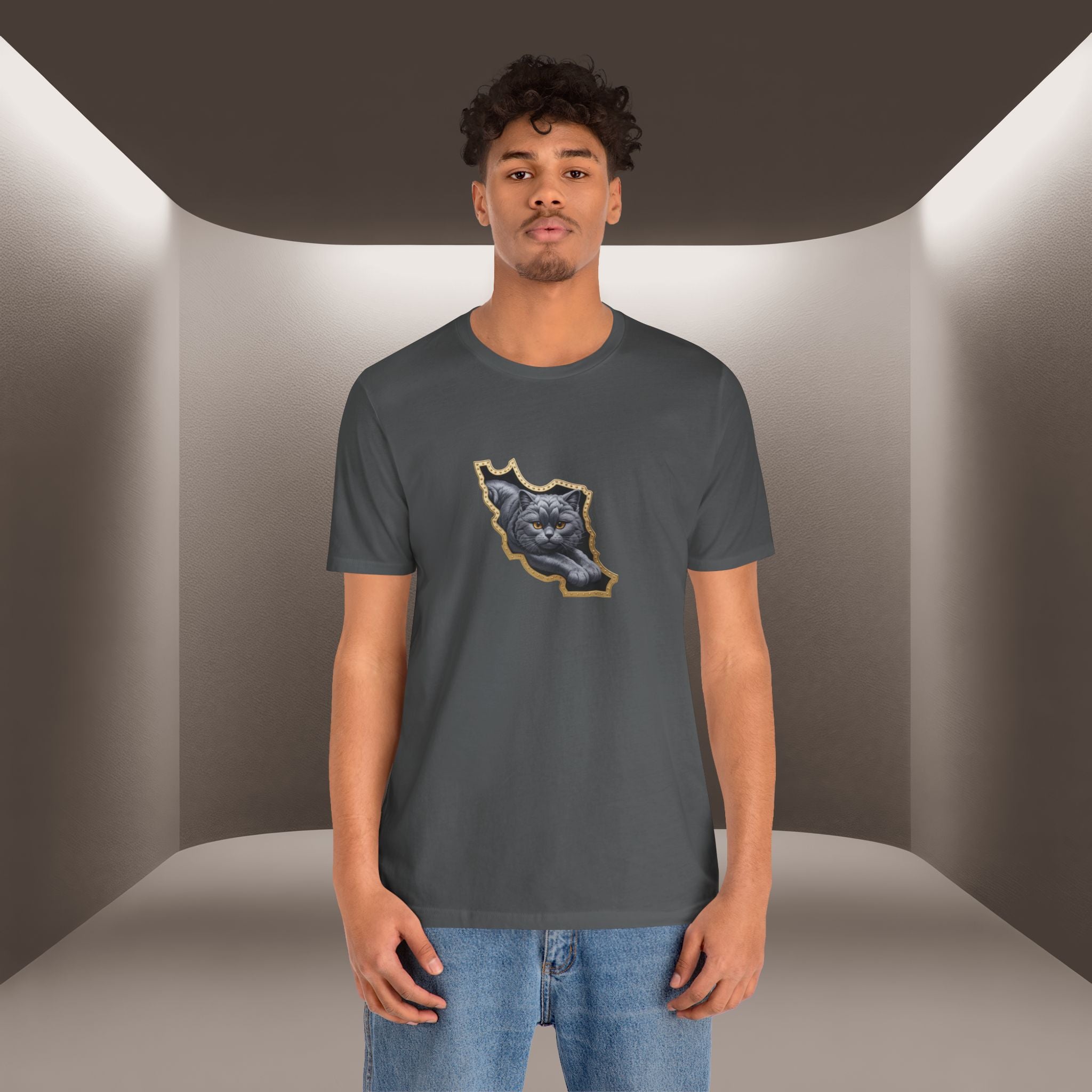 Persian Cat in a Persian Map Graphic design- unisex T-shirt- Premium quality