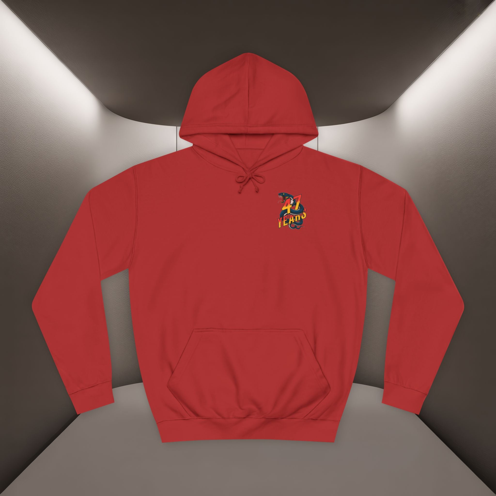 Persian Vibey Unisex Hoodie — 47 years design Hoodie