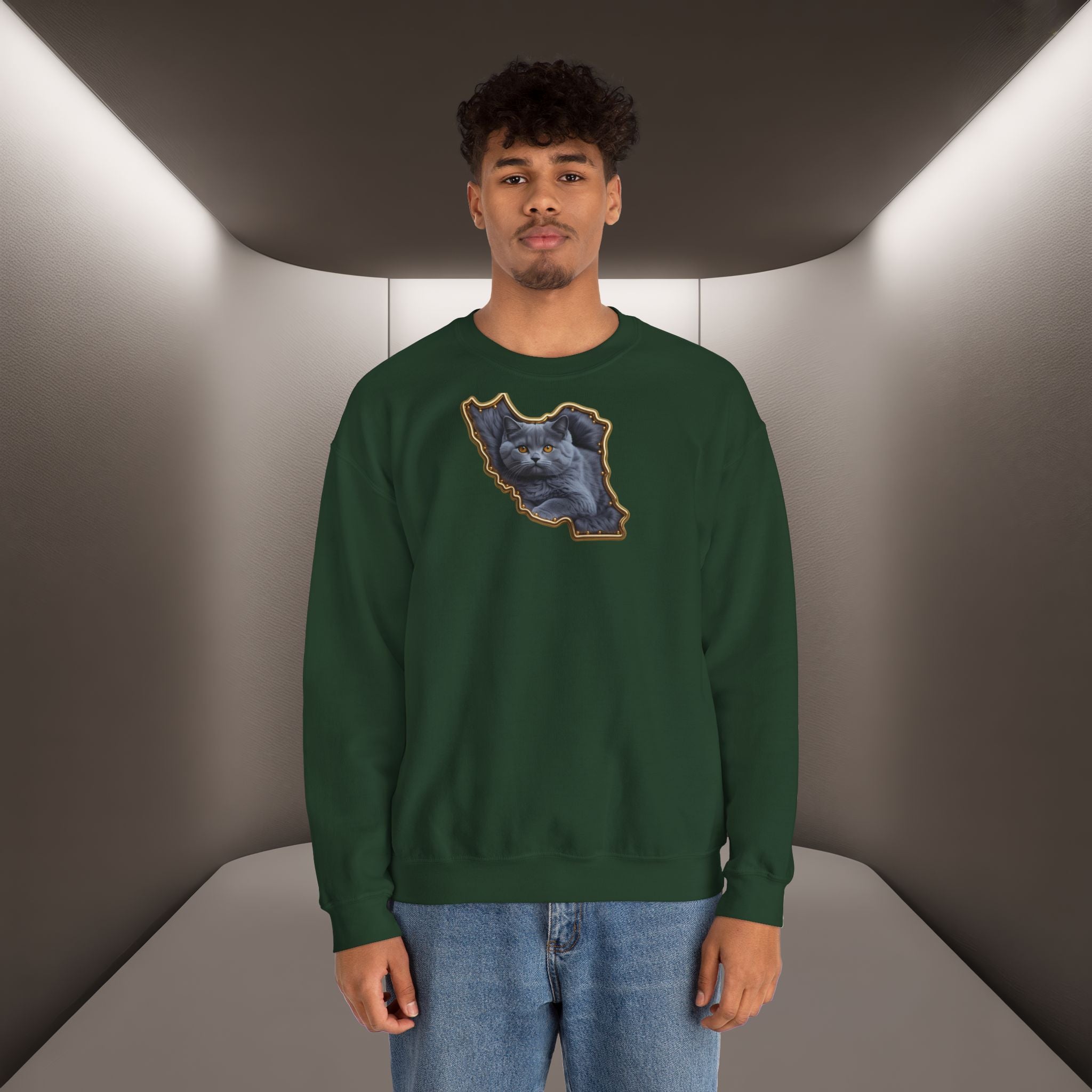 Persian cat & Persian Map Graphic Design Unisex Sweatshirt — Premium quality