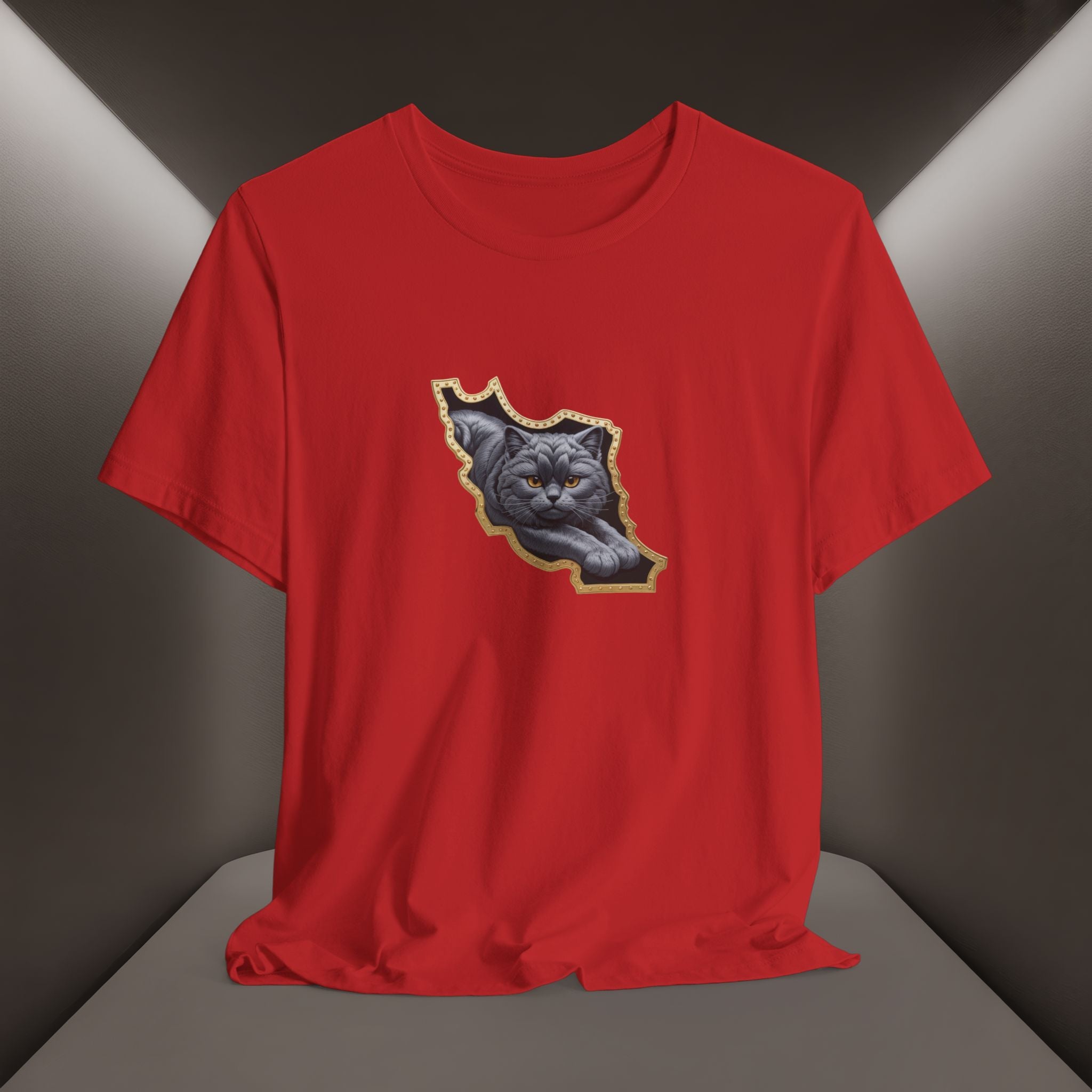 Persian Cat in a Persian Map Graphic design- unisex T-shirt- Premium quality