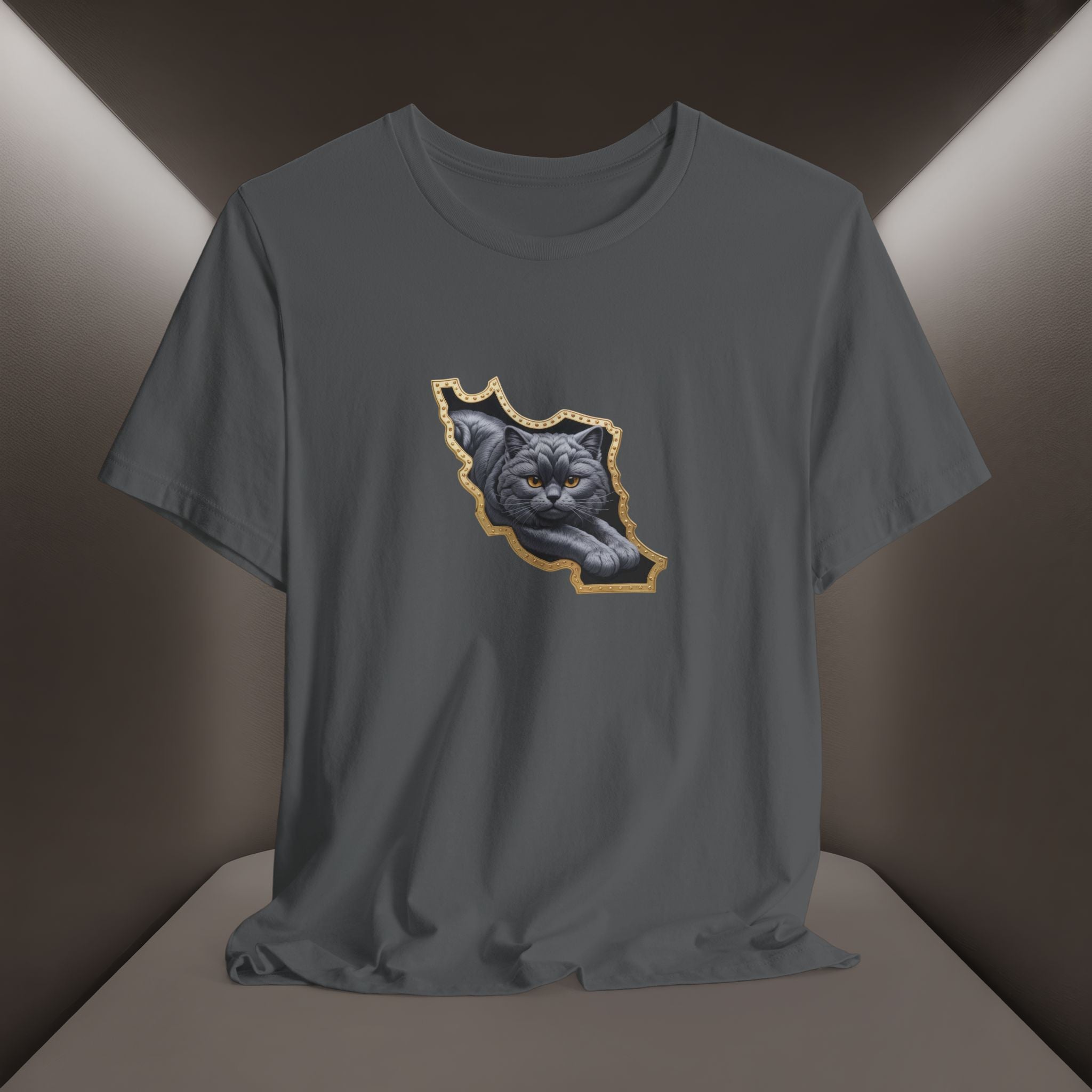 Persian Cat in a Persian Map Graphic design- unisex T-shirt- Premium quality