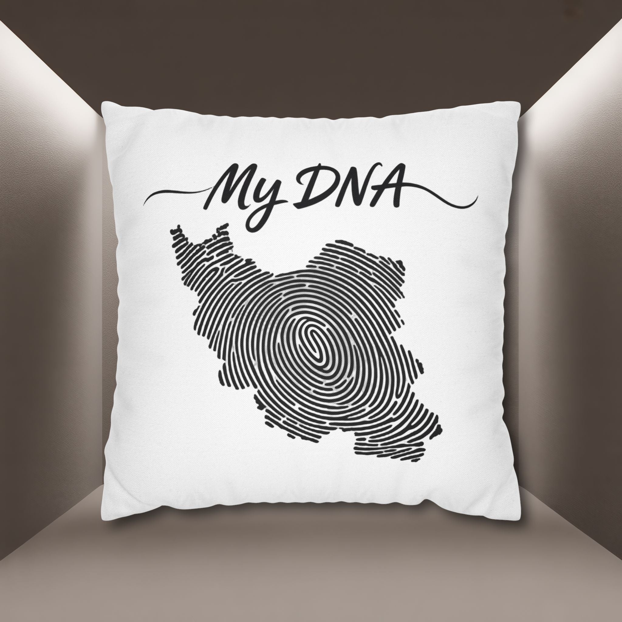 My DNA Map Pillow case — Iran's Map pillow