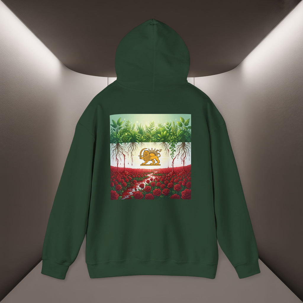 Persian Flag Conceptual Graphic, Unisex Hoodie