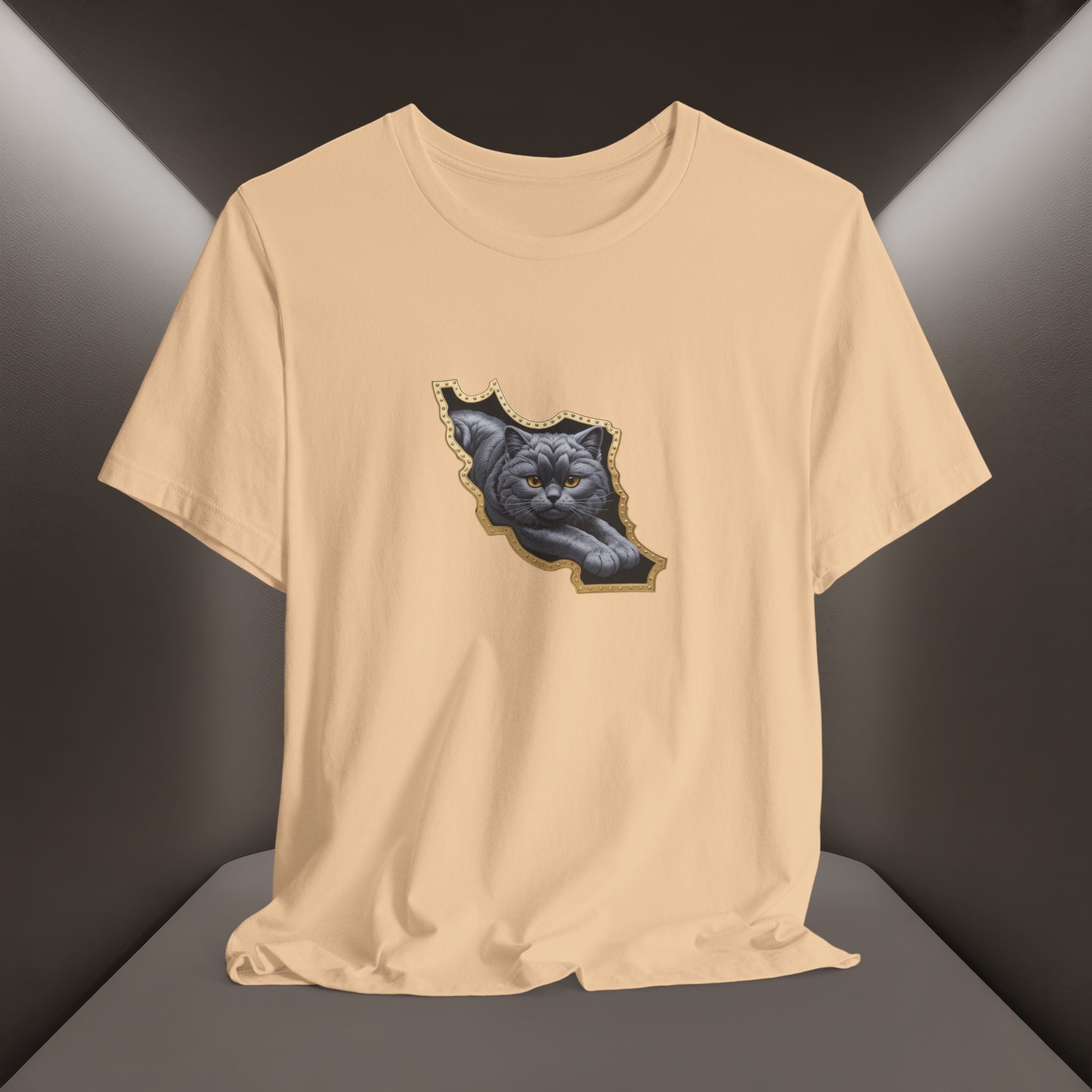 Persian Cat in a Persian Map Graphic design- unisex T-shirt- Premium quality