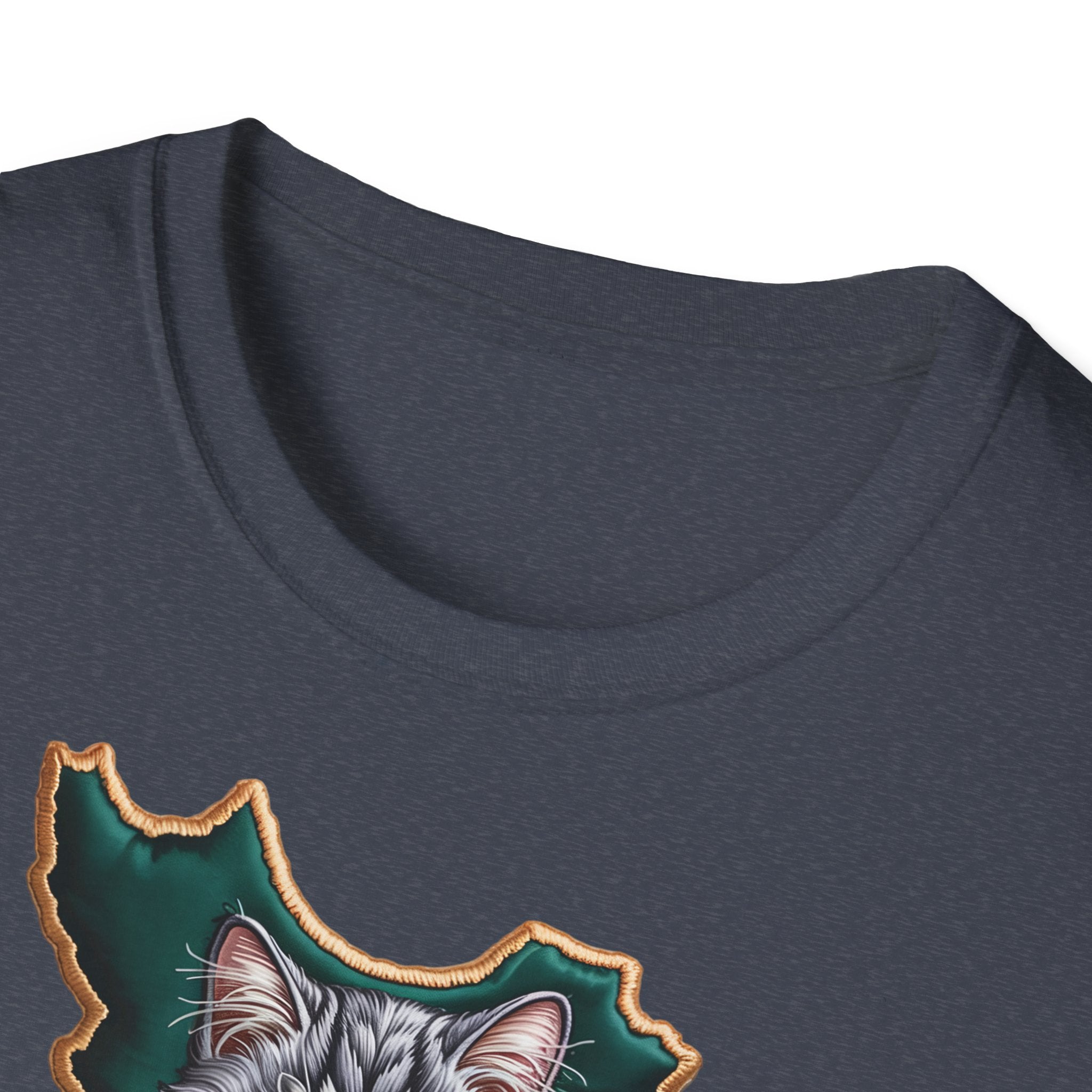 when Persian cat meets the Persian map - premium quality
