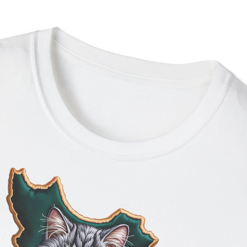 when Persian cat meets the Persian map - premium quality