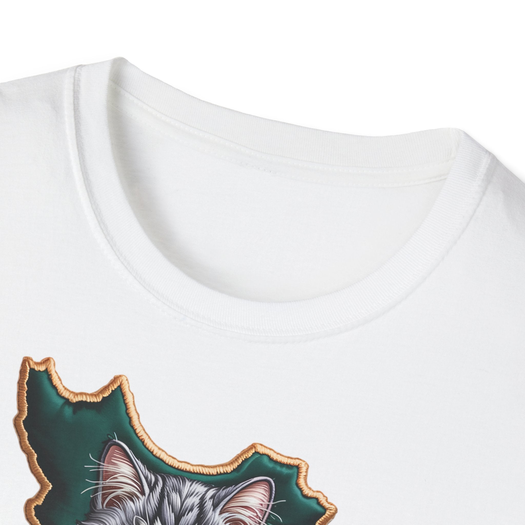 when Persian cat meets the Persian map - premium quality
