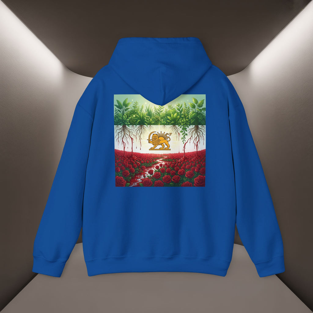 Persian Flag Conceptual Graphic, Unisex Hoodie