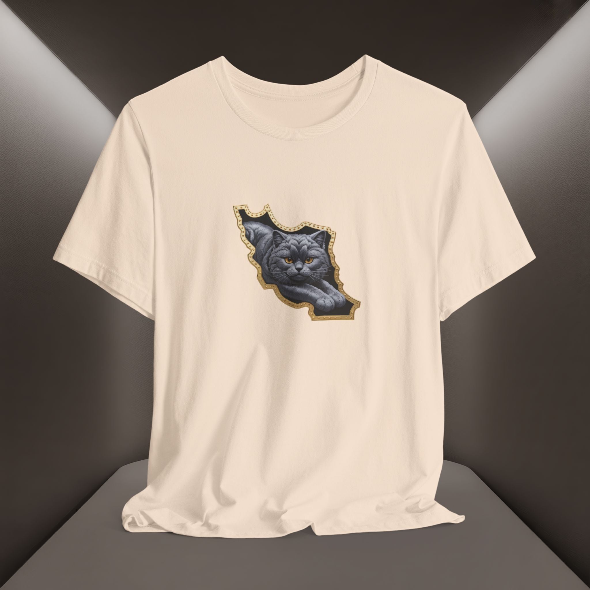 Persian Cat in a Persian Map Graphic design- unisex T-shirt- Premium quality