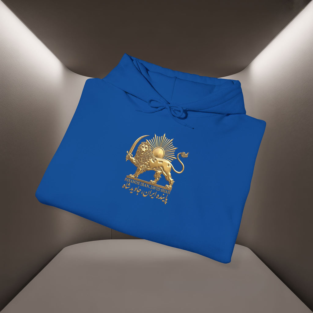 Persian Flag Conceptual Graphic, Unisex Hoodie