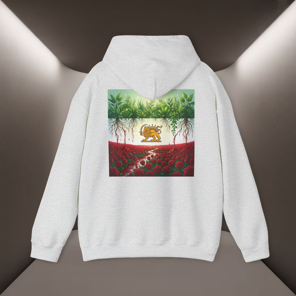 Persian Flag Conceptual Graphic, Unisex Hoodie