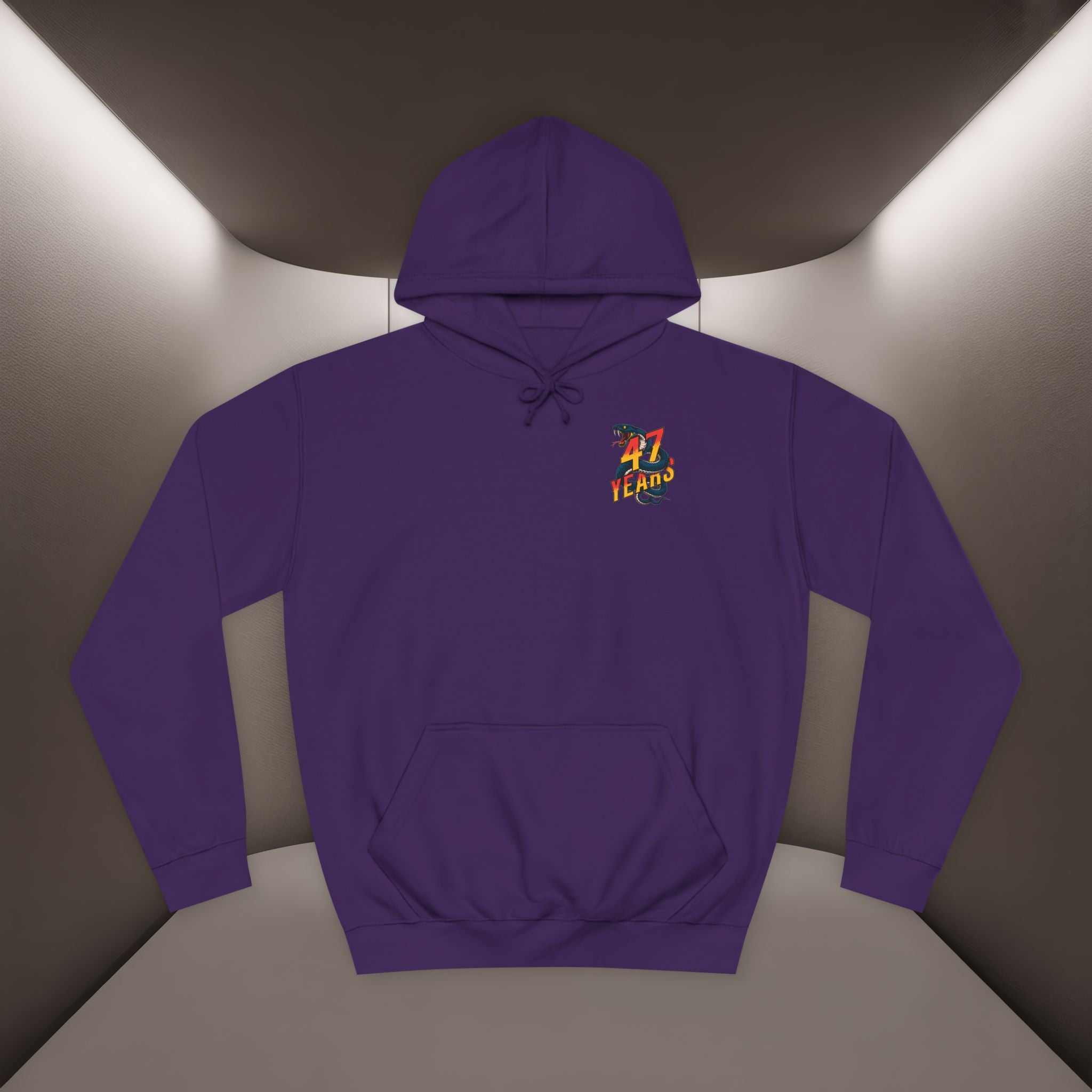 Persian Vibey Unisex Hoodie — 47 years design Hoodie