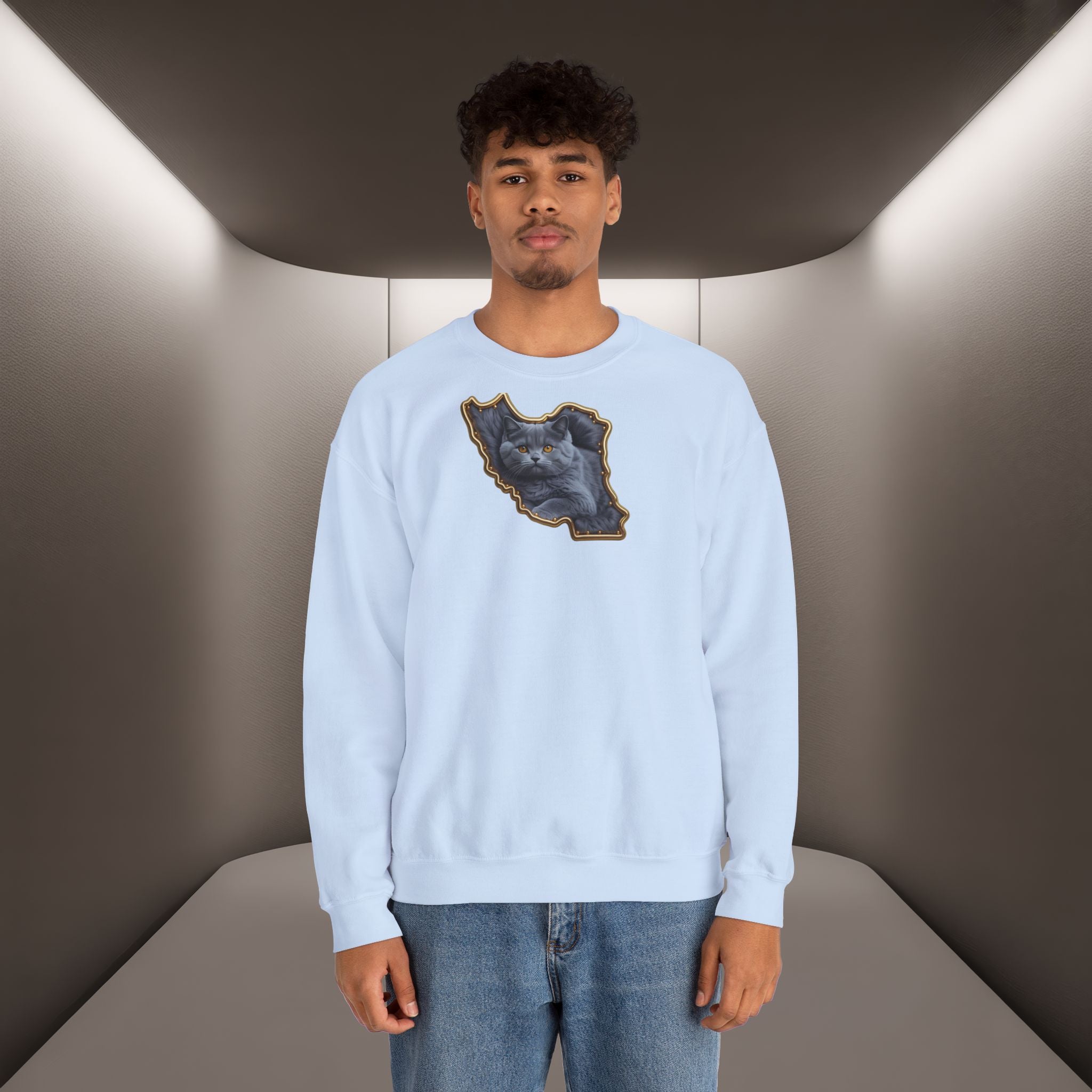 Persian cat & Persian Map Graphic Design Unisex Sweatshirt — Premium quality
