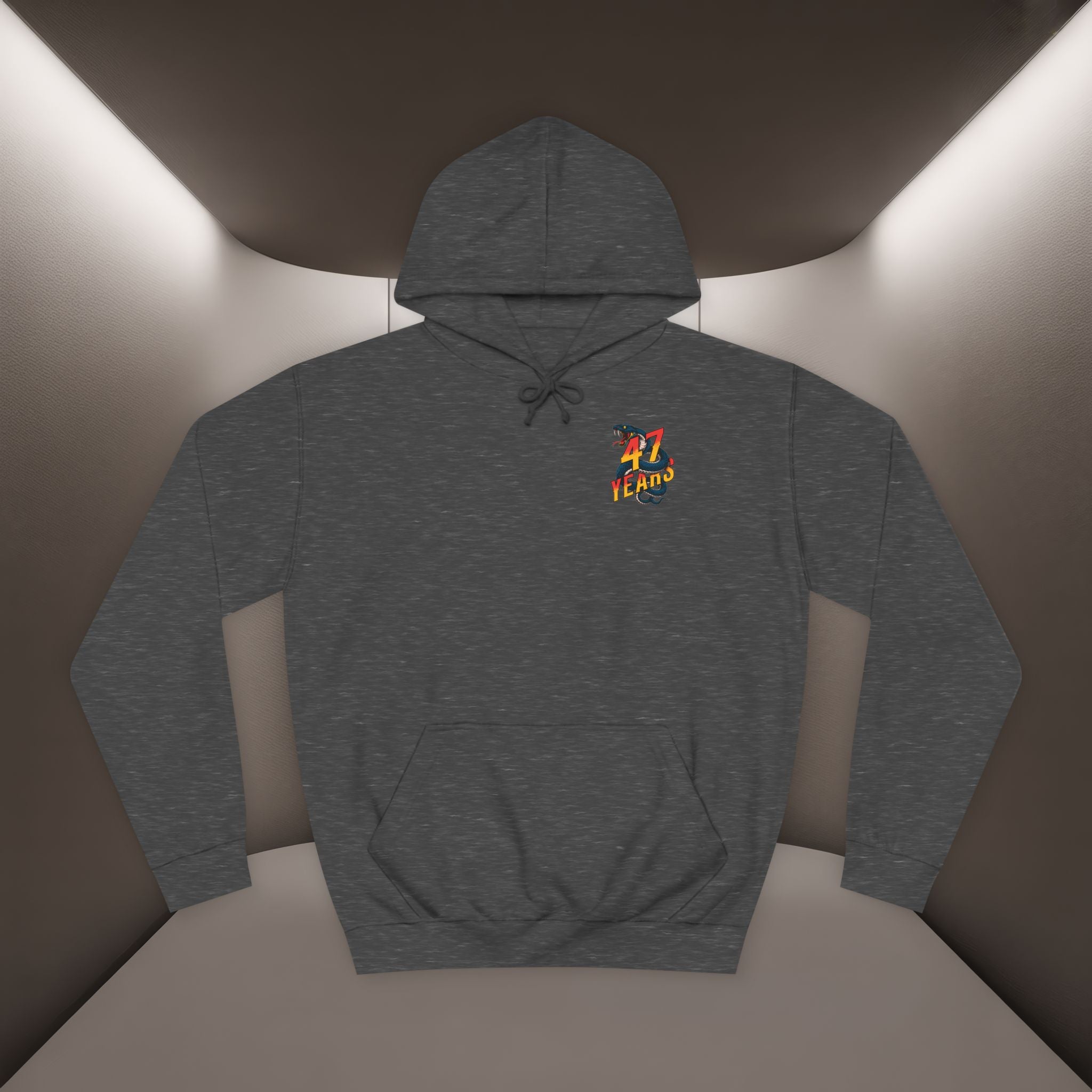 Persian Vibey Unisex Hoodie — 47 years design Hoodie