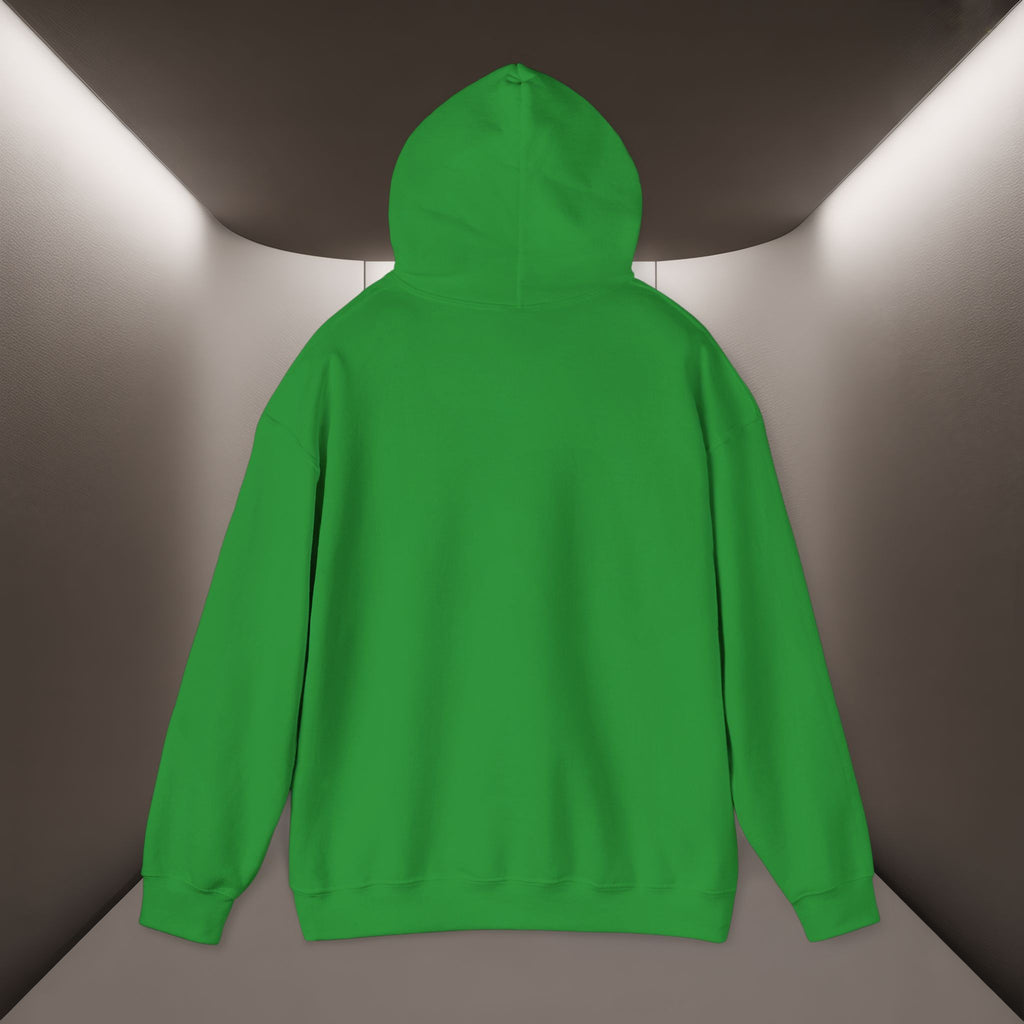 Iran deserves freedom Unisex Hoodie — Iran hoodie - Persian Vibey