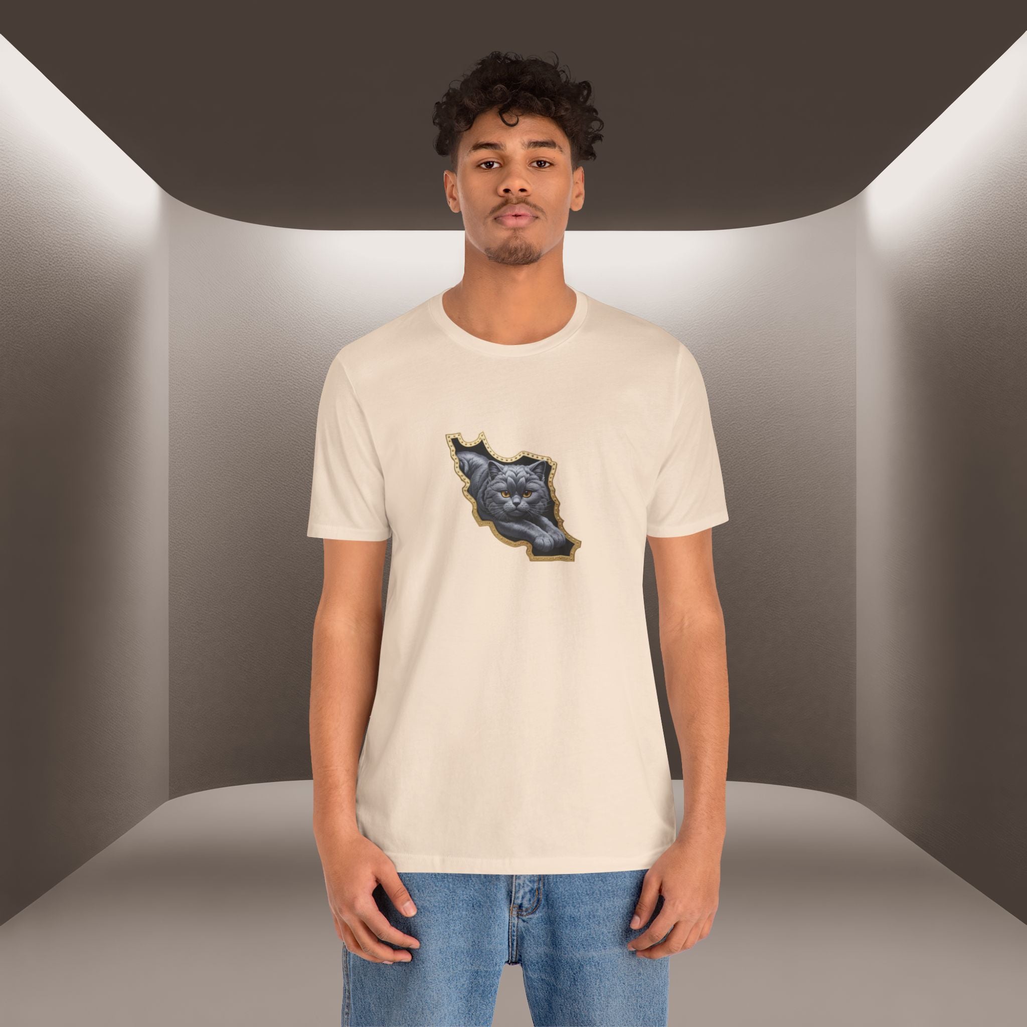 Persian Cat in a Persian Map Graphic design- unisex T-shirt- Premium quality