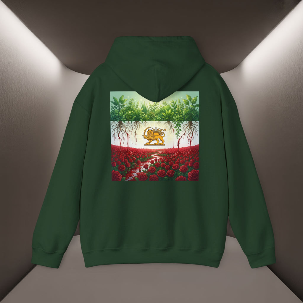 Persian Flag Conceptual Graphic, Unisex Hoodie