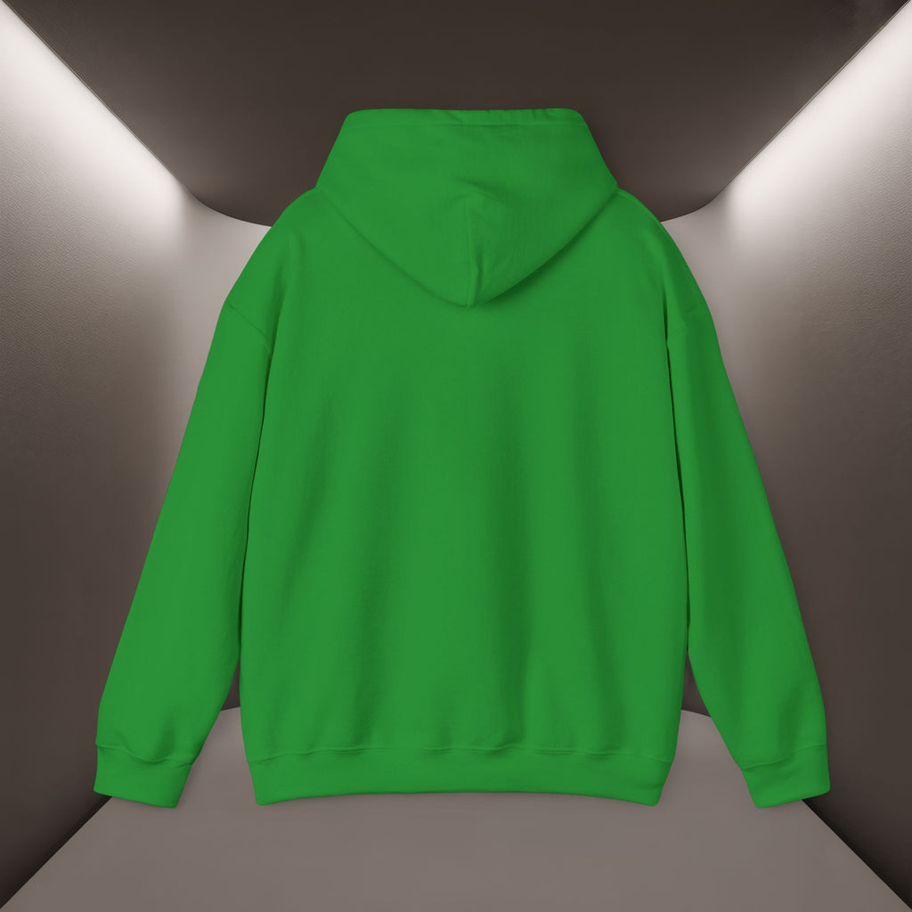 Iran deserves freedom Unisex Hoodie — Iran hoodie - Persian Vibey