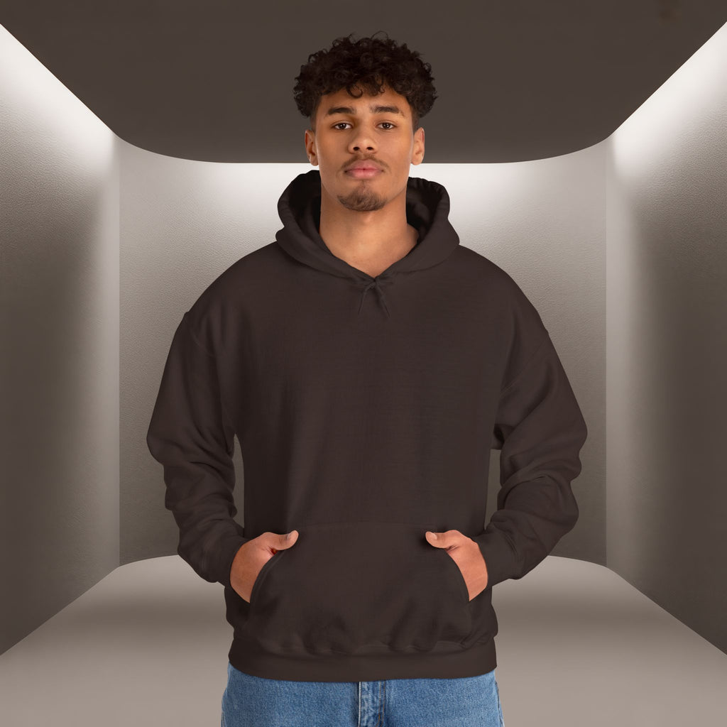 Freedom for Iran Unisex Hoodie — All Eyes On Iran Hoodie