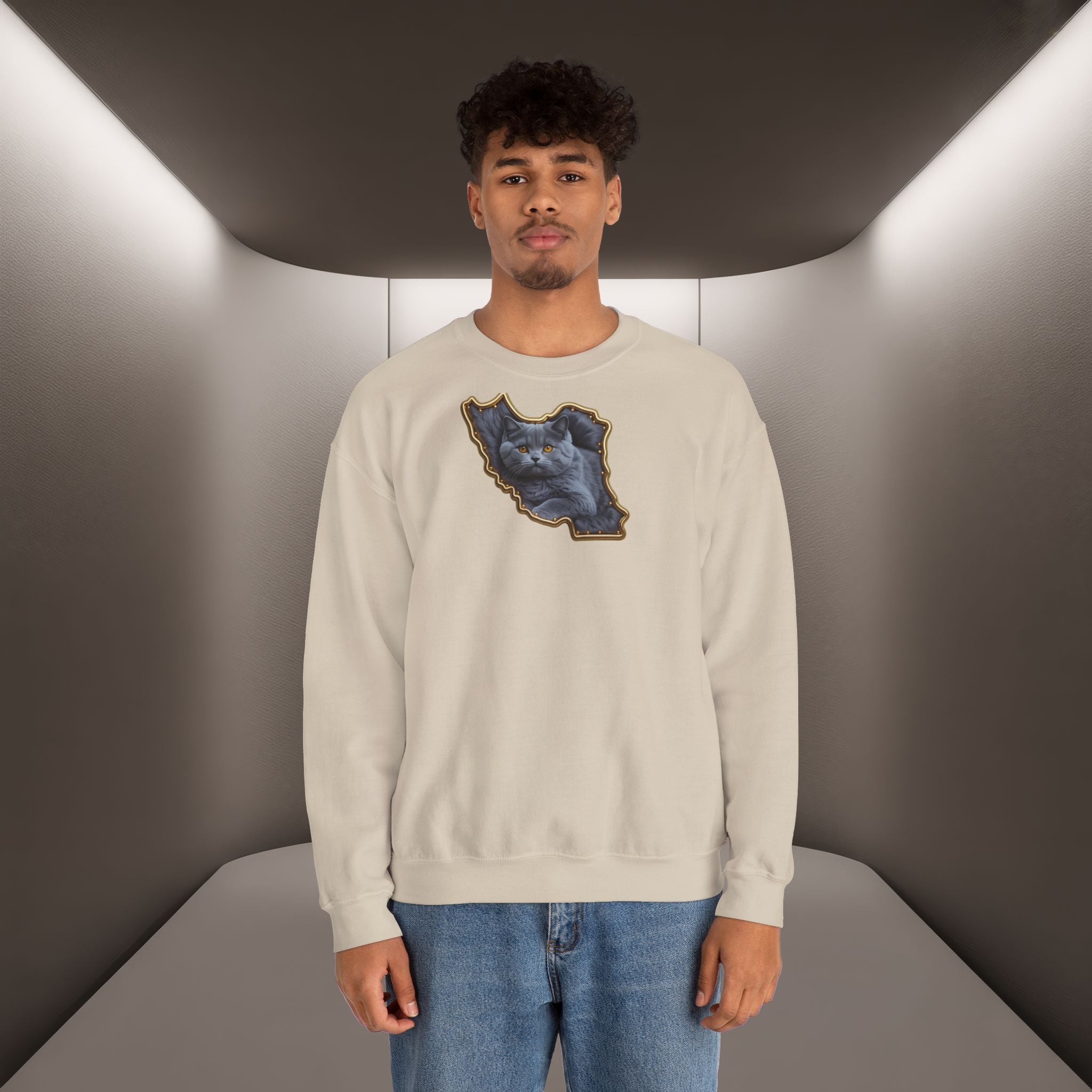 Persian cat & Persian Map Graphic Design Unisex Sweatshirt — Premium quality
