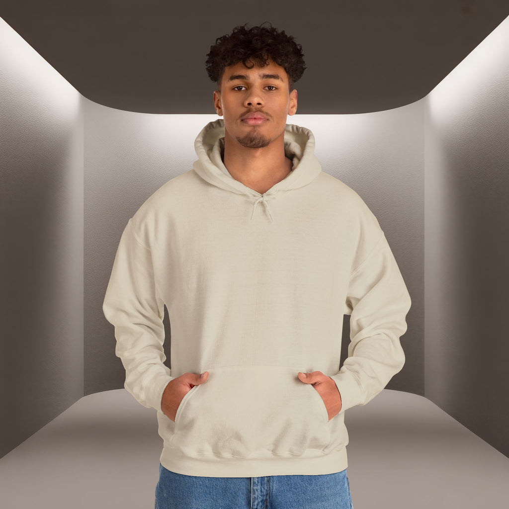 Freedom for Iran Unisex Hoodie — All Eyes On Iran Hoodie