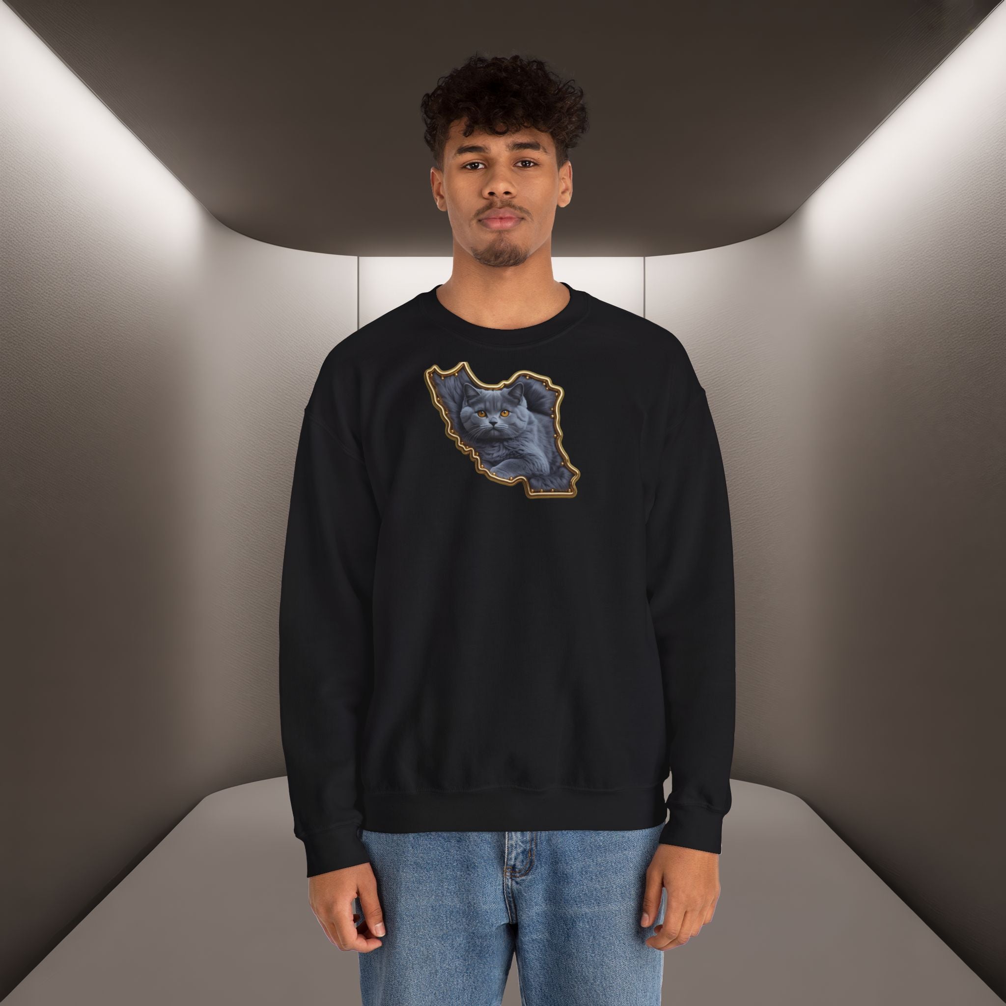 Persian cat & Persian Map Graphic Design Unisex Sweatshirt — Premium quality