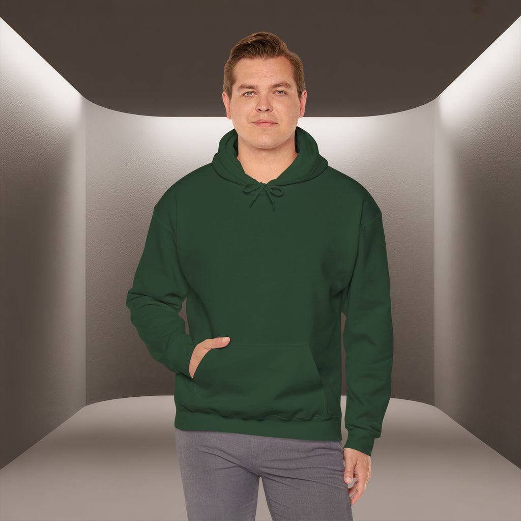 Freedom for Iran Unisex Hoodie — All Eyes On Iran Hoodie