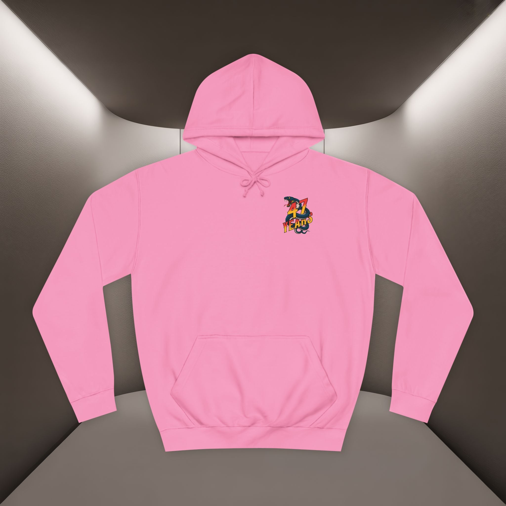 Persian Vibey Unisex Hoodie — 47 years design Hoodie