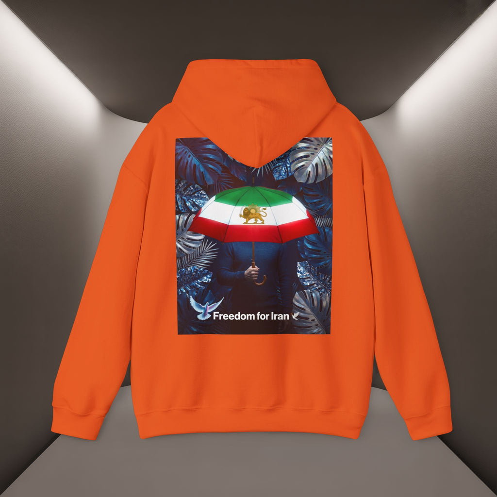 Freedom for Iran Unisex Hoodie — All Eyes On Iran Hoodie