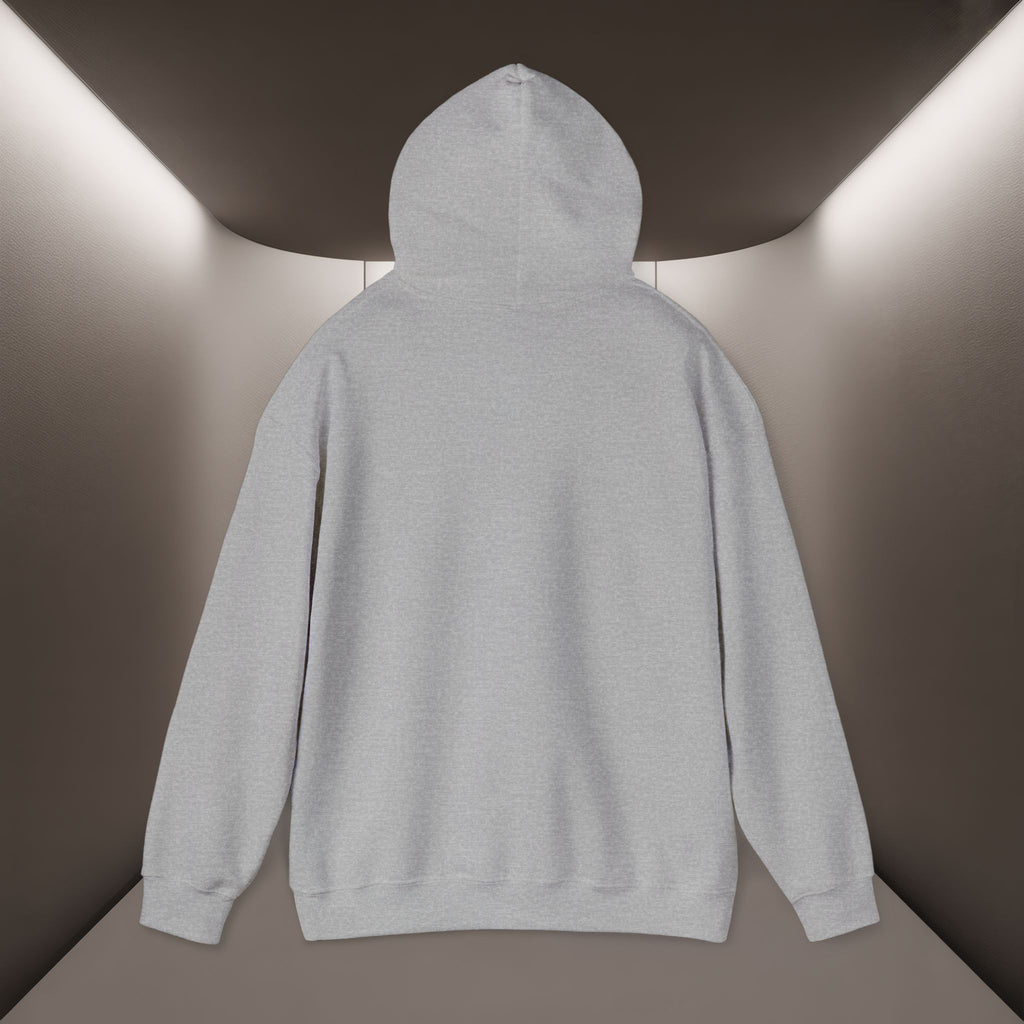 Iran deserves freedom Unisex Hoodie — Iran hoodie - Persian Vibey