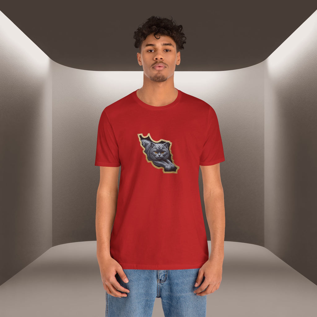 Persian Cat in a Persian Map Graphic design- unisex T-shirt- Premium quality
