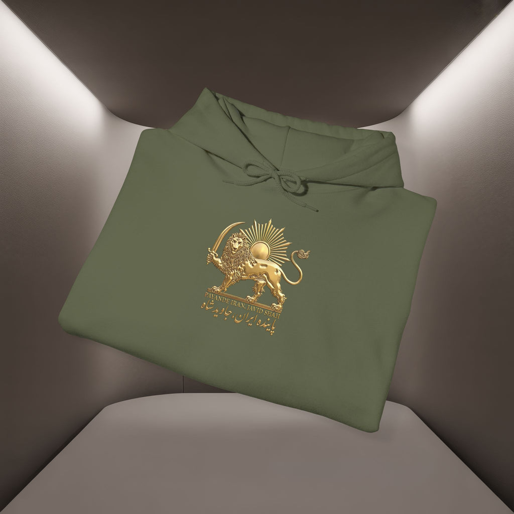 Persian Flag Conceptual Graphic, Unisex Hoodie
